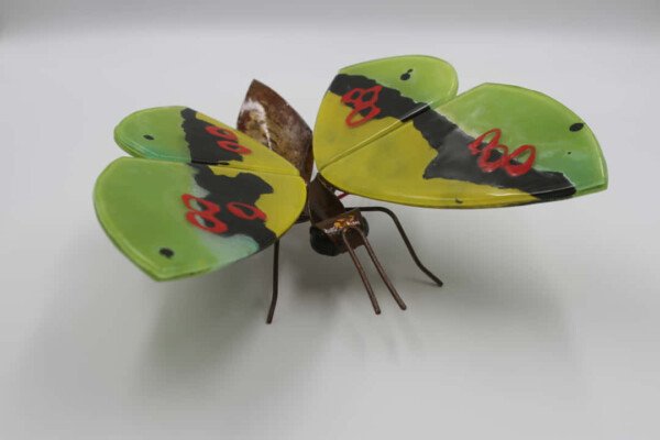 MARIPOSA VERDE
