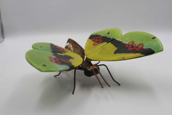 MARIPOSA VERDE - Imagen 2