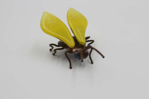 POLILLA AMARILLA - Imagen 2