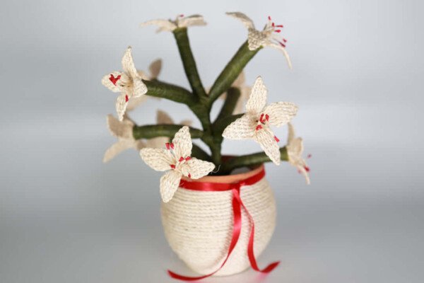 FLORERO