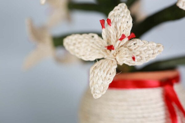 FLORERO - Imagen 4