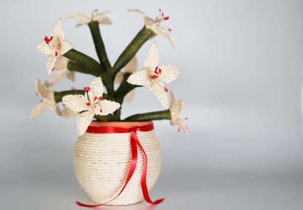 FLORERO - Imagen 2