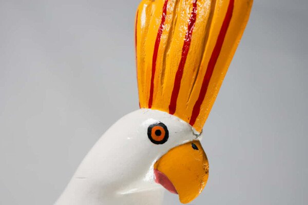 CACATÚA DE BOROJÓ - Imagen 3