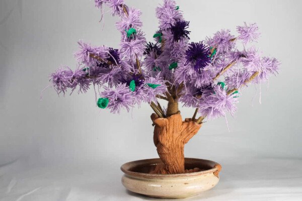 ARBOL JACARANDA