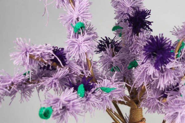 ARBOL JACARANDA - Imagen 2