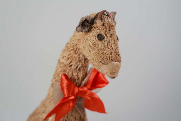 JIRAFA - Imagen 2