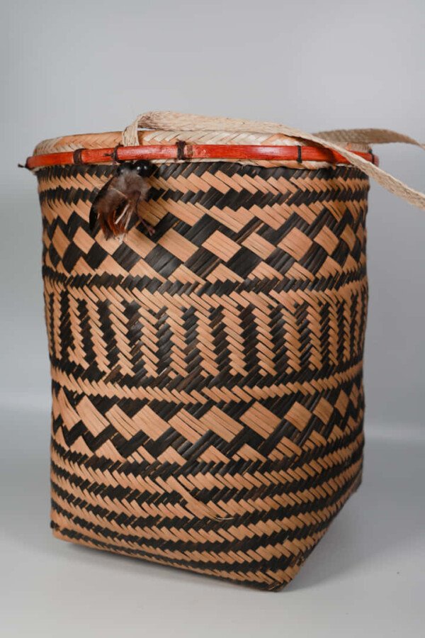 CESTA YAJIBO (M)