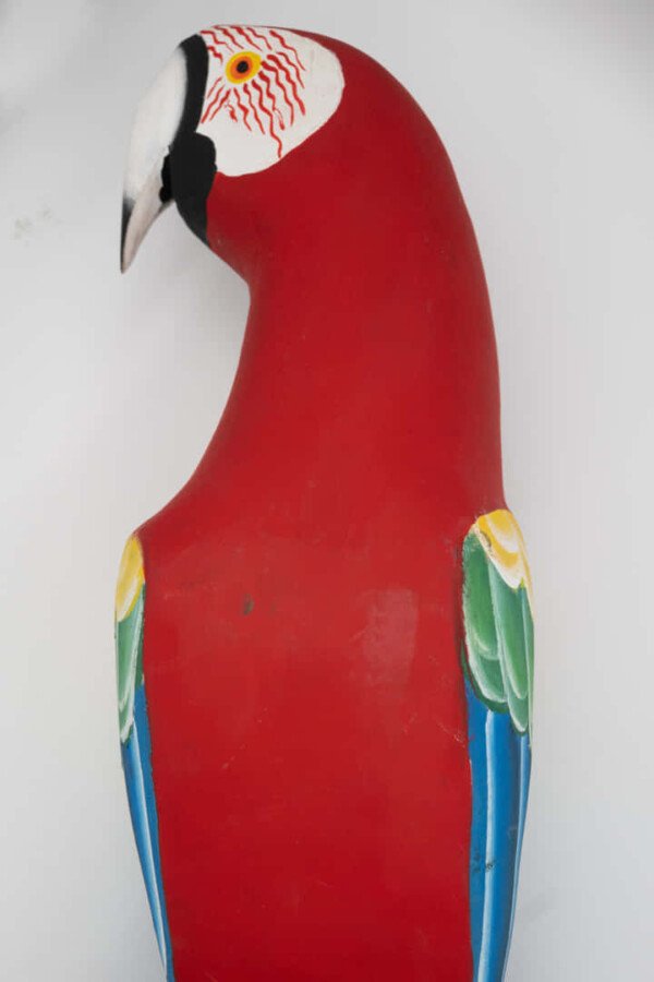 GUACAMAYA - Imagen 2