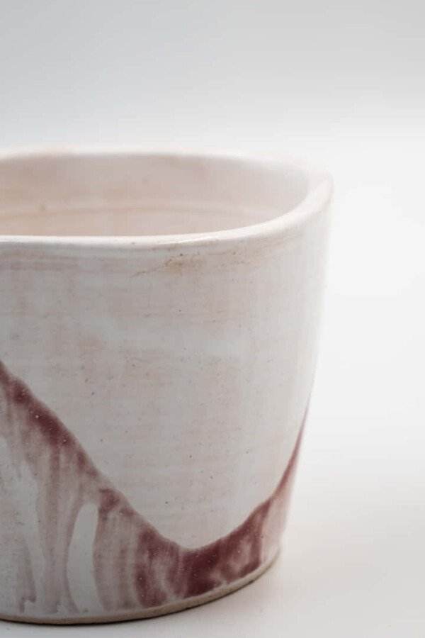 TAZA - Imagen 2