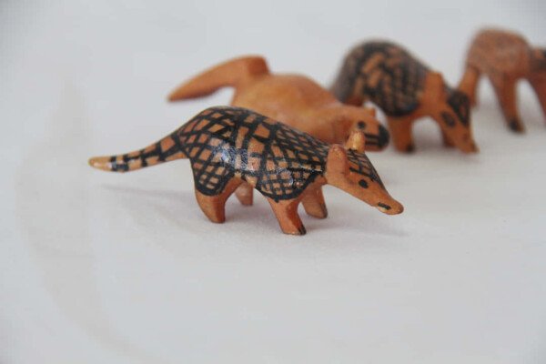 FAUNA AMAZONAS - Imagen 3