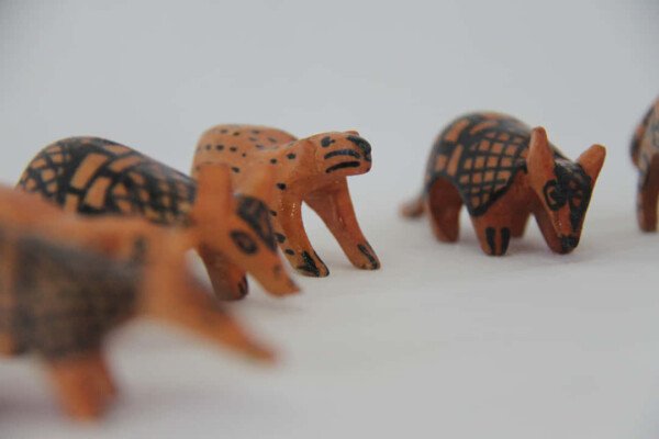 FAUNA AMAZONAS - Imagen 4