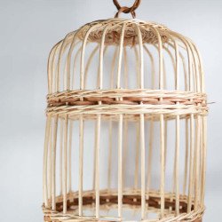 Piezas catalogo RDA-137